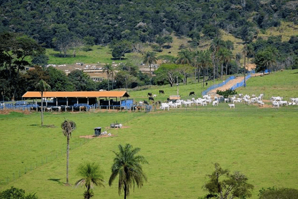 Falta de mão de obra rural Falta de mão de obra rural