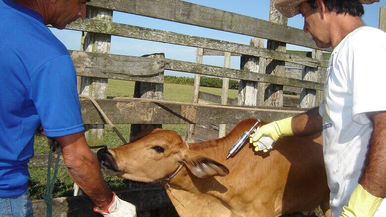 CNA discute como melhorar defesa agropecuária do País usando o exemplo do PR CNA discute como melhorar defesa agropecuária do País usando o exemplo do PR
