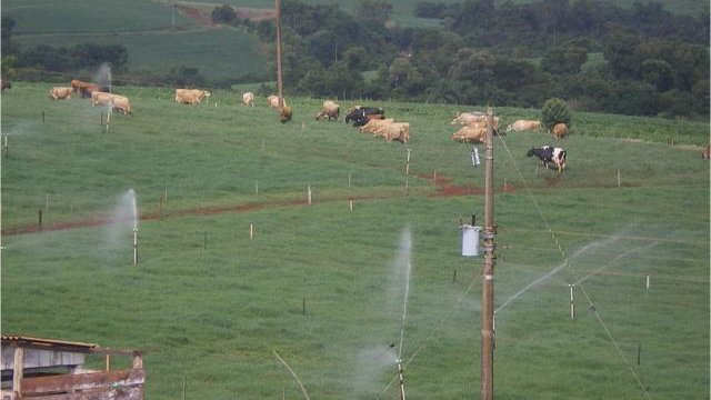 Irrigação de pastagem vale a pena no período da seca?