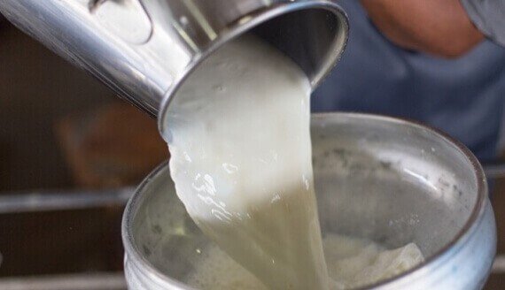 Produção de leite poderá ser isenta de IPI