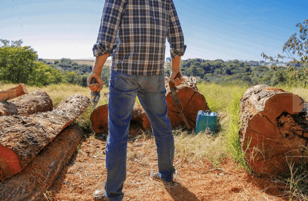 No campo, posse e porte de armas são vistos como direito essencial à defesa No campo, posse e porte de armas são vistos como direito essencial à defesa