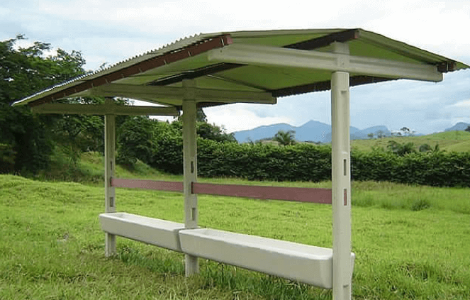 Cocho tem segredos de manejo para melhorar os resultados manejo com cocho - Cocho tem segredos de manejo para melhorar os resultados