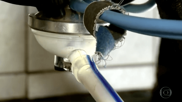 Com mercado bilionário, criadores de SP apostam na produção de leite orgânico Com mercado bilionário, criadores de SP apostam na produção de leite orgânico