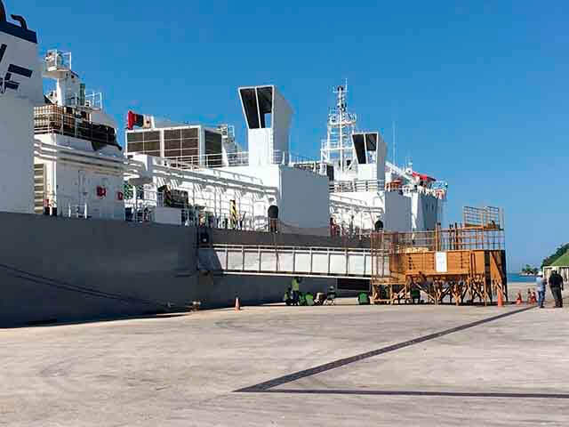 Gado vivo: Brasil registra embarques recordes