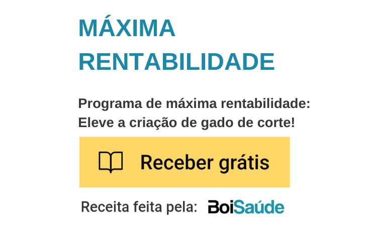 5 dicas para proteger o gado para corte do calor excessivo Programa de Máxima Rentabilidade mobile - 5 dicas para proteger o gado para corte do calor excessivo