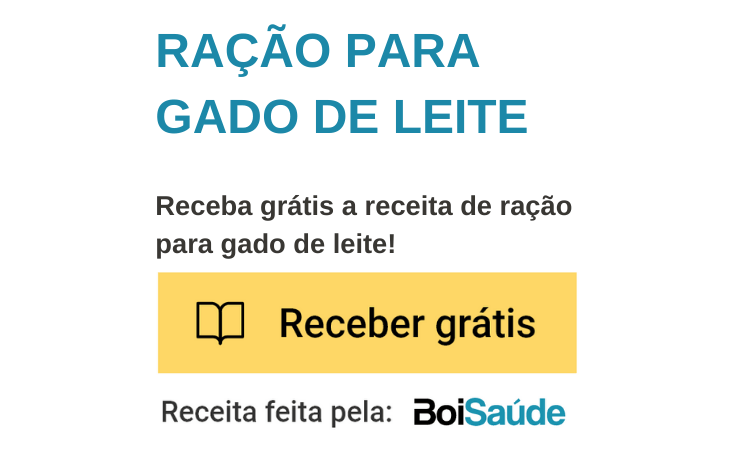 Torta de dendê para bovinos é eficaz? Ração para Gado de Leite mobile - Torta de dendê para bovinos é eficaz?
