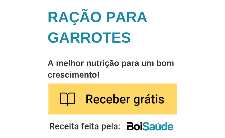 Como fazer engorda de garrote ou novilho? Ração para Garrotes mobile - Como fazer engorda de garrote ou novilho?