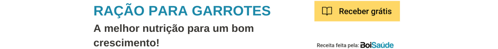 Como fazer engorda de garrote ou novilho? Ração para Garrotes - Como fazer engorda de garrote ou novilho?