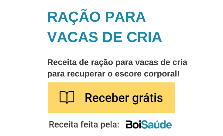 Virginiamicina: vacas de cria manejo pré e pós-parto Ração para Vacas de Cria mobile - Virginiamicina: vacas de cria manejo pré e pós-parto