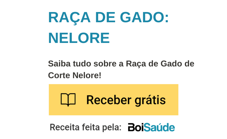 Raça Nelore: ideal para gado de corte? Raça de Gado Nelore mobile - Raça Nelore: ideal para gado de corte?