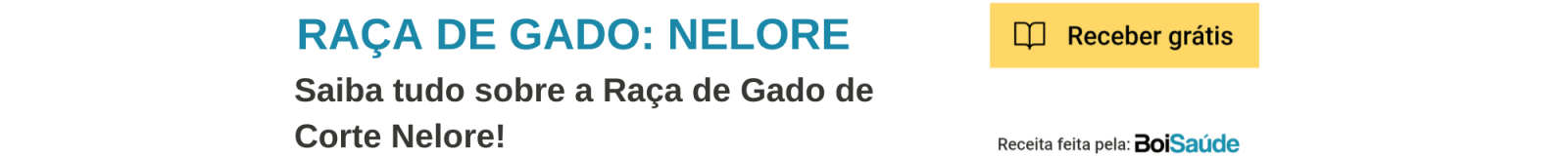 Raça Nelore: ideal para gado de corte? Raça de Gado Nelore - Raça Nelore: ideal para gado de corte?