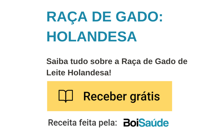 Raça para o gado de leite: vaca holandesa Raça de Vaca Holandesa mobile - Raça para o gado de leite: vaca holandesa