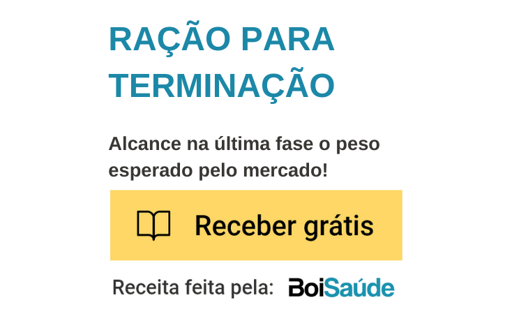 Melhor estratégia nutricional para terminação de bovinos de corte Ração para Terminação mobile - Melhor estratégia nutricional para terminação de bovinos de corte
