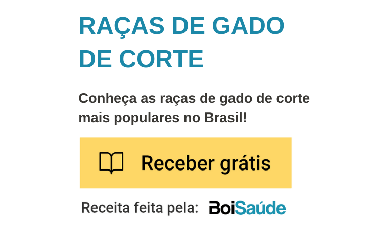 Gir Leiteiro e Gir: dupla aptidão e resistência térmica Raças de Gado de Corte mobile - Gir Leiteiro e Gir: dupla aptidão e resistência térmica