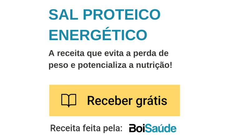 Horário de pico para o gado de corte a pasto SAL PROTEICO ENERGÉTICO MOBILE - Horário de pico para o gado de corte a pasto