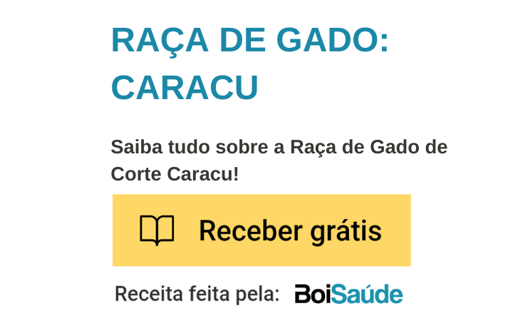 Saiba tudo sobre o boi caracu mobile Raça de Gado Caracu - Saiba tudo sobre o boi caracu