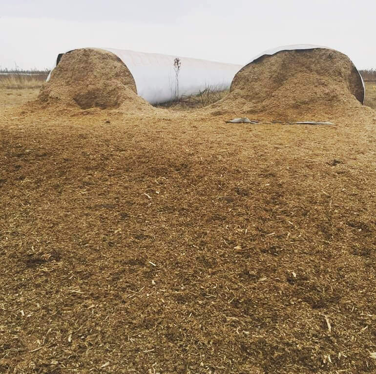 Produção de silagem para o gado produção de silagem para gado - Produção de silagem para o gado