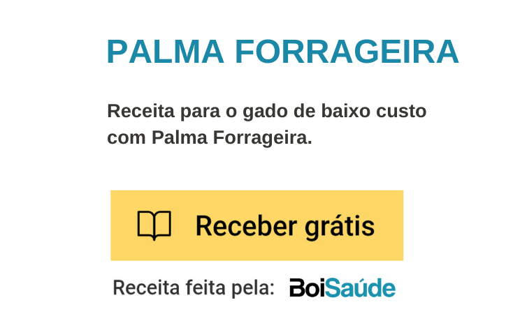 Vacinas, exames e alimentação: dicas para aumentar a expectativa