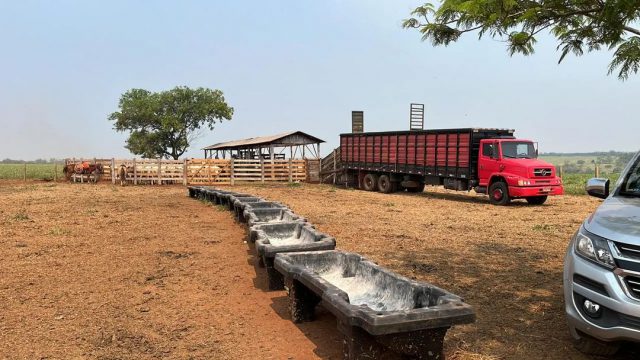 Transição seca-águas: o que oferecer para o gado