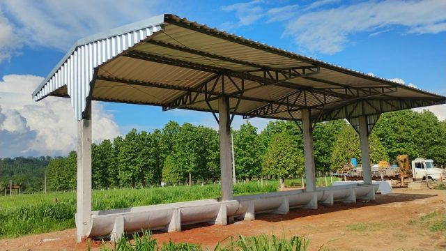 Além do sal mineral nas águas, o que mais oferecer no cocho?