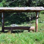 💧 PASTO, IRRIGAÇÃO E SUPLEMENTAÇÃO: AS DECISÕES DA ESTAÇÃO - Notícias 22/07/2026