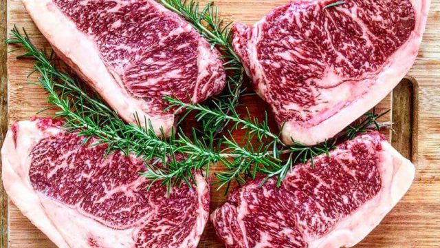 🐂 RECRIA EXIGE ATENÇÃO, CONFINAMENTO PODE DEIXAR R$ 1,2 MIL POR CABEÇA, PRENHEZ COMEÇA ANTES DO PARTO E PRODUÇÃO DE CARNE PODE CAIR 3,6%- Notícias 23/09/2026